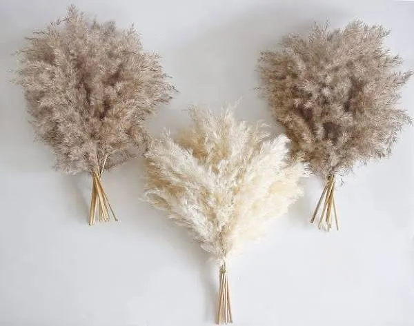 30 PCS Boho Decor, Fluffy Pompas Grass, Natural Dry Pampas Grass Small, Short Pa