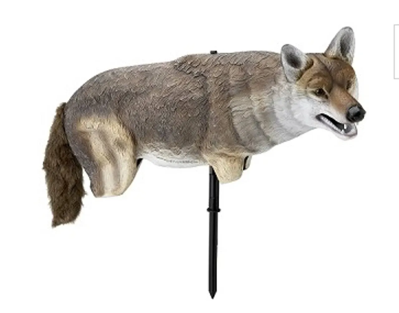 Lucky Duck Yote Coyote Decoy