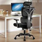 Winrise Ergonomic Office Chair