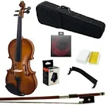 4/4 Full Size Artist-100 Student Violin Starter Kit with Brazilwood Bow Lightwei