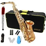 Alto Saxophone Eb beginner Saxophone includes brush canvas suitcase glove whistle piece cork plaster wipe cloth neck strap and other accessories… (Popular)