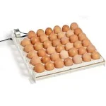 Farm Innovators 41-Egg Capacity 120V Automatic Egg Turner