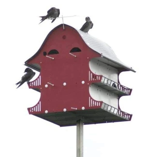 Royal Wing Purple Martin Barn Bird House