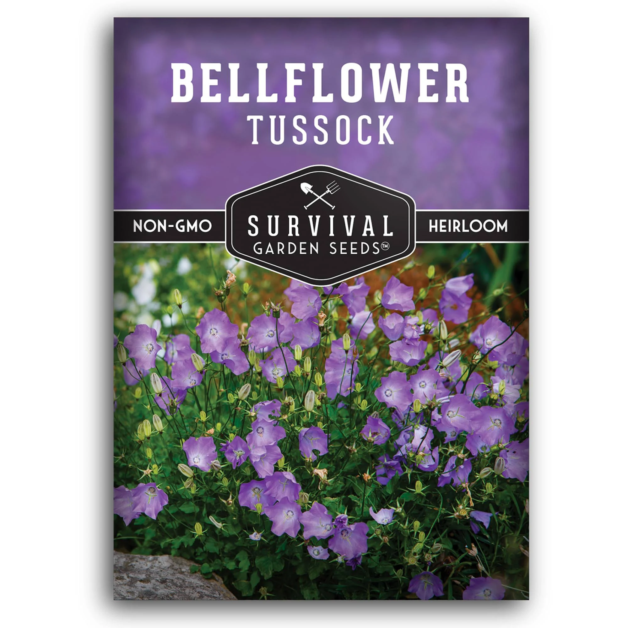 Tussock Bellflower Seed - Campanula Carpatica