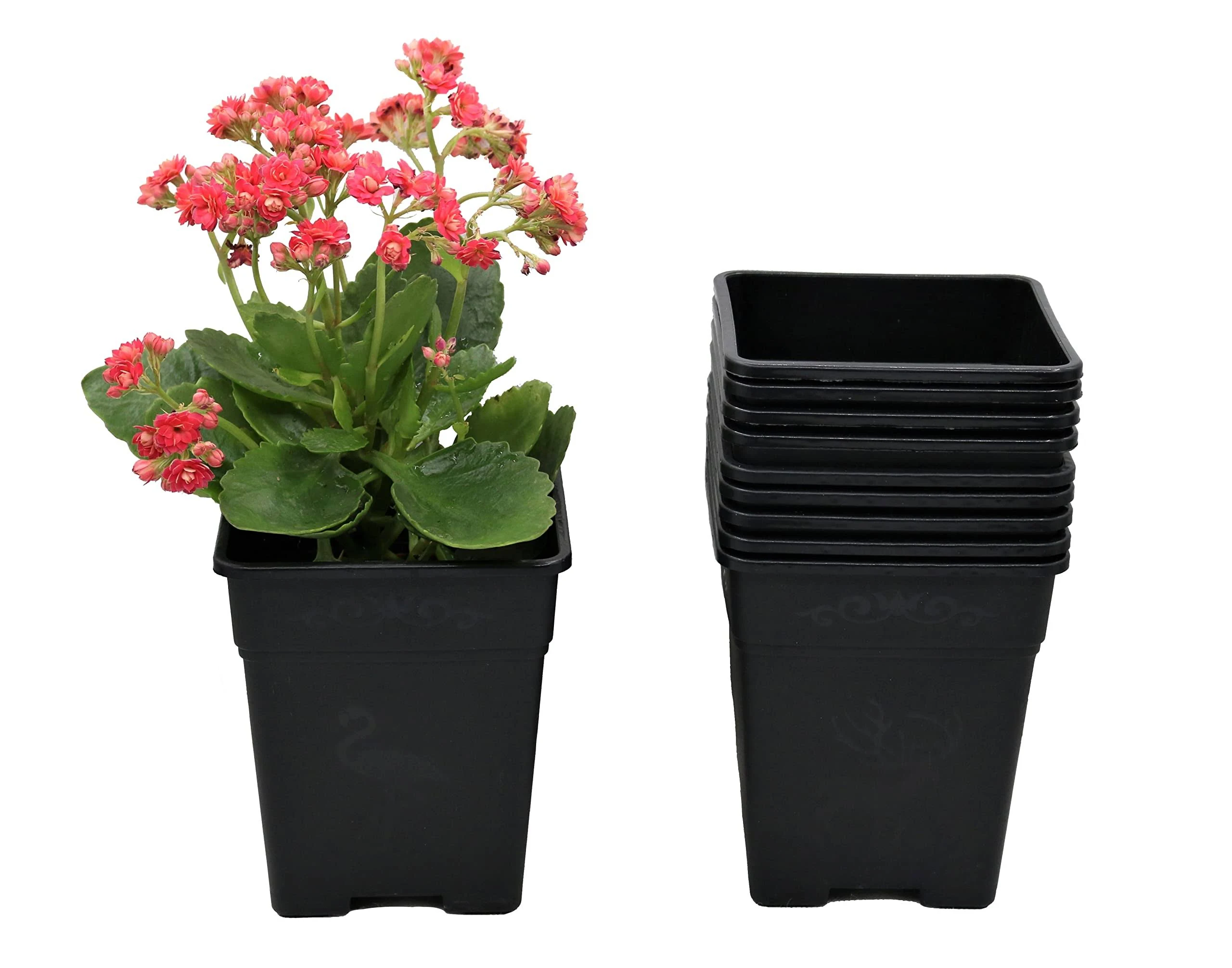 Cotta Planters 5 inch Square Nursery Pots 0.5 Gallon 10-Pack Plastic Planters Greenhouse supplies