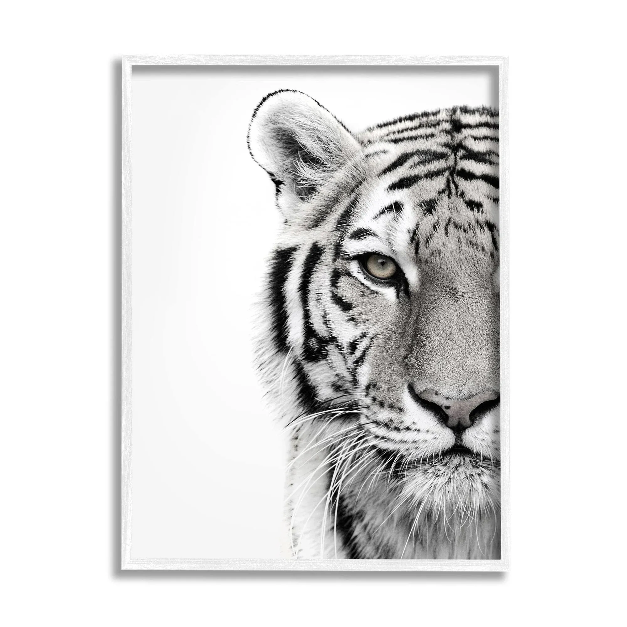 Stupell Industries White Tiger Close Up Black and White Photography Framed Art ...