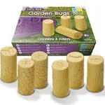 Let's Roll, Garden Bugs Rollers, Set of 6