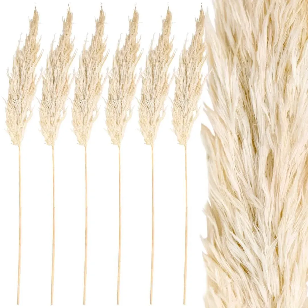 Koyal Wholesale Real Dried Pampas Grass Decor Plumes, 28-32 Inches, White Color ...