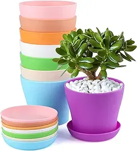 KINGLAKE 8 Pcs 4" Plastic Plant Flower Seedlings Nursery Pot/Pots Planter Colorful Flower Plant Container Seed Starting Pots with Pallet and Drainage Holes for Home Garden Flowers Plants,8 Colors