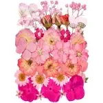 15 Types 37pcs Pink Dried Pressed Flowers for Resin Molds,Real Natural Pressed Flowers for DIY Art Crafts,Candle Making, Nails Décor,Soap Making, Phone Case