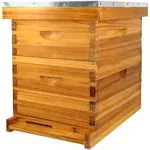 ThxBees 8 Frame Bee Hive Complete Beehive Kit Beeswax Coated Include Frames and Foundation Sheet for for All Beekeeping Levels (1 Deep &amp; 1 Medium Bee Boxes)