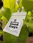 NaturesGoodGuys - Amblyseius cucumeris - Slow Release Hanging Sachets (10 Sachets with 1,000 Mites)