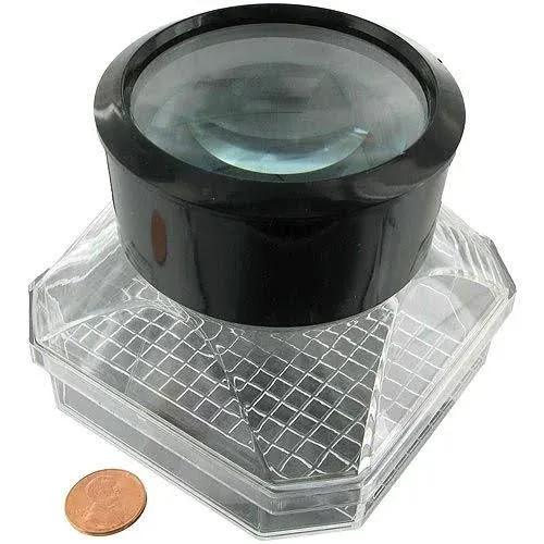 10 Pcs Insect Bug Viewer Magnifying Insect Box Stretchable Bug Collecting Jars Critter Insect Cage Bug Science Educational Kits Insect Cage Catcher Nature Exploration Toys