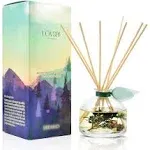 LOVSPA Winter Forest Pine Reed Diffuser Set | Juniper Berries, Sandalwood & Cedar Notes | Made with Real Botanicals | Proudly Made in The USA