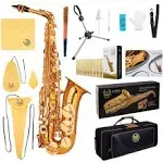 Eb Alto Saxophone with Carrying Sax Case,Full Set Cleaning and Care Kit,Sax Fold