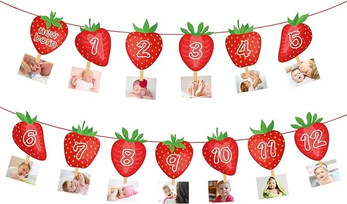 Fruit Strawberry 1st Birthday Photo Banner Newborn to 12 Month Display 