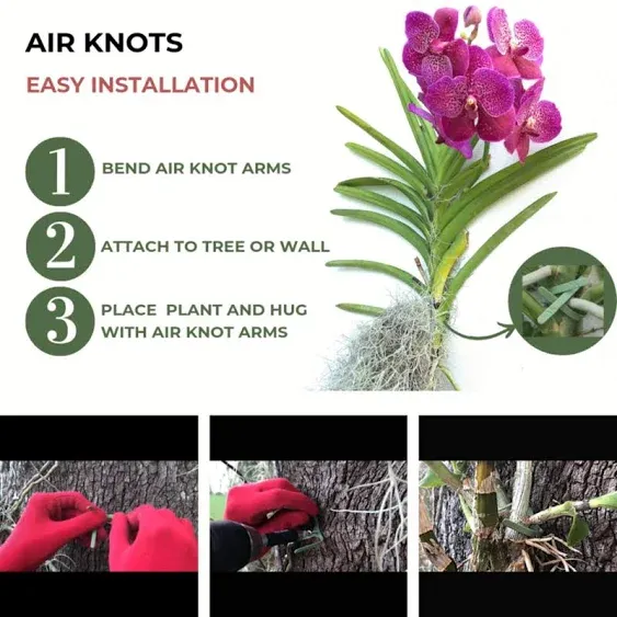 ArtAK Wall Planter Set of 5 Planter Air Knots | Orchid Wall Mounted Plant Hook | Air Plant Holder Wall Terrarium | Wall Mounted Plant Holder B5