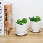 MyGift 4-Inch White Ceramic Planter - Scalloped Design Succulent Garden Pots with Attached Saucers, Set of 2