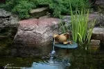 Aquascape 78311 Lazy Frog on Lily Pad Pond and Garden Water Fountain, Patina