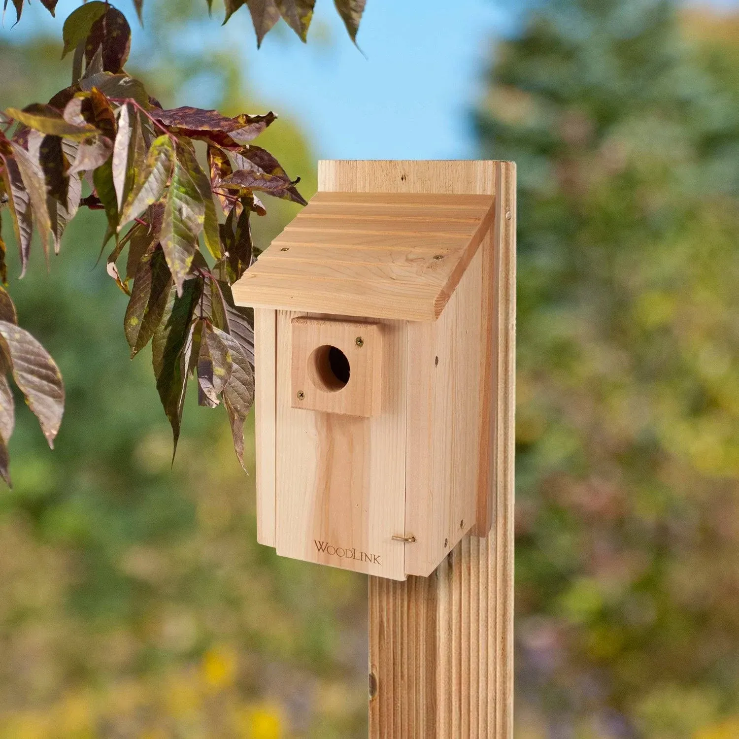 Traditional Bluebird House