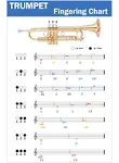 QMG Trumpet Fingering Chart with Color-Coded Notes, Learn Trumpet Technique Suitable for All Levels, Made in The USA