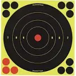 Birchwood Casey Shoot-N-C 8" Rd Bullseye 6 Targets 24 Pasters