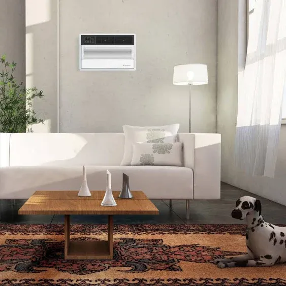 FRIEDRICH Uni-Fit 10,000 BTU 115-Volt Through-the-Wall Air Conditioner Cools 450 Sq. Ft. in White UCT10A10A