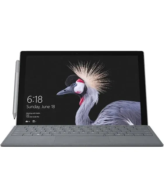 Microsoft Surface Pro Signature Type Cover - Platinum