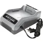 Snow Joe  Snowjoe Sunjoe IONMAX 40V Lithium-Ion Battery Charger - Gray