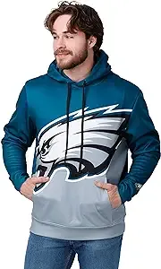 Philadelphia Eagles NFL Colorblock Cropped Big Logo Hoodie