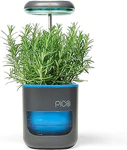 Pico Planter Indoor Garden with Plant Grow Light. This Herb Growing Kit is th...