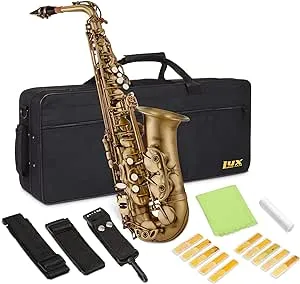 Alto Saxophone E Flat Brass Sax Kit, Professional Sound, Complete Accessories, Ideal for All Players, Includes Hard Case, 10 Extra Reeds, Strap, Gloves, Cleaning Kit & More, Gold Lacquer Finish