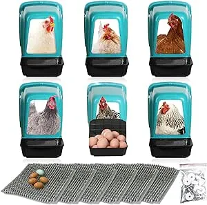 Chicken Nesting Boxes Chicken Laying Boxes with Perch Roll Out Nesting Boxes for Chickens Nesting Boxes for Chicken Coop Nest Box Large (Green, 6 Pack)