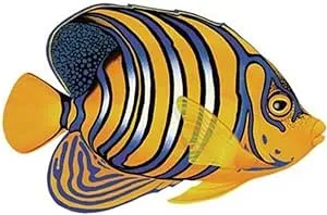 Regal Angelfish Swimming Pool Mosaic