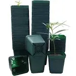 Square Nursery Seedling Pot 3.5 Inches 90 Pcs, Small Nursery Pot Plastic Thick and Sturdy Seed Start Germination Pot for Plant Propagation and Seeding(Green,3.54 Inches, 90Pcs)