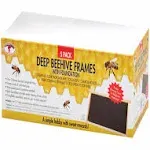 Little Giant Beehive Medium Frames Medium Frames Natural-Colored Plastic Foundation for Beekeeping (5-Pack) (Item No. MFRLITE)