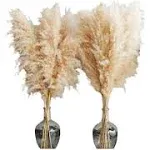 Pampas Grass Decor Tall, 47" Inch 10 Stems Natural Pompas Grass, Dried Pampas Grass for Wedding, Birthday Party, Farmhouse, Boho Home Decor, Baby Shower Decorations