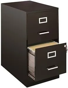 Scranton & Co 2 Drawer File Cabinet in Black