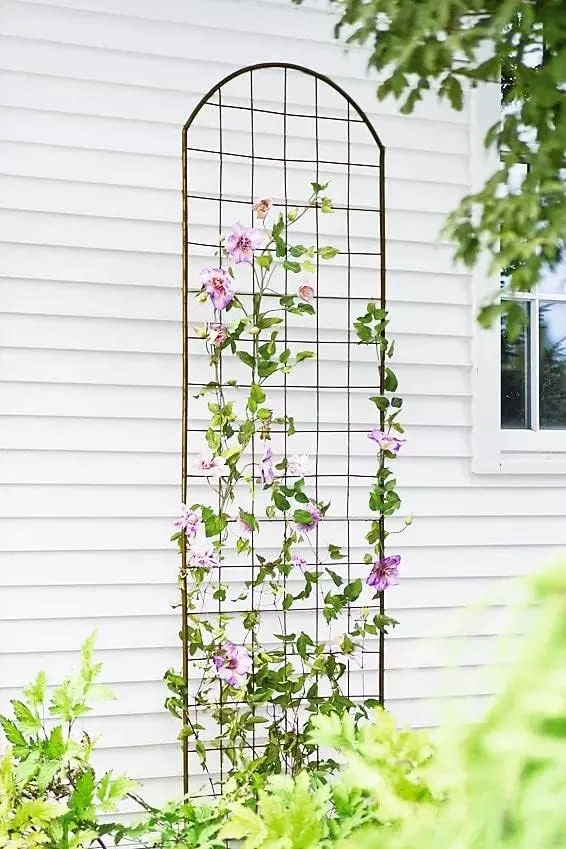 Gardeners Supply Company Jardin Flower Trellis