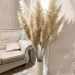 10 Stems Natural Pampas Grass Decor Tall 47 Inch Floral Grass Boho Decor