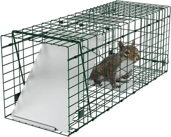 ANT MARCH Live Animal Cage Trap with Gloves 37"x13.5"x14.5" Large Steel Humane Release Rodent Cage for Rabbits, Stray Cat, Squirrel, Raccoon, Mole, Gopher, Opossum, Skunk, Chipmunks, Groundhog Squire