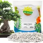 Horticultural Bonsai Pumice Soil Amendment, Ideal Substrate for Bonsai Trees, Cactus and Succulents 2 Quarts