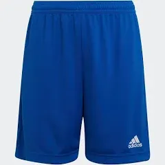 Adidas Royal Blue Entrada 22 Shorts(Youth)