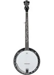 Ibanez B200 Banjo | Reverb