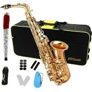 JUUXAAN Alto Saxophone Eb Beginner Saxophone