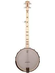 Deering Goodtime Americana 5-String Banjo