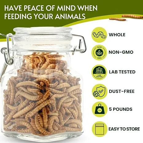 100% Non-GMO Dried Mealworms 5 lb - Whole Large Meal Worms Bulk - High-Protein Treats Perfect for Your Chickens, Ducks, Wild Birds\