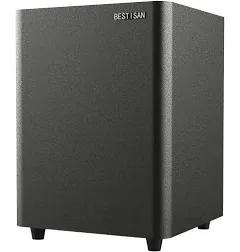 Bestisan SW65C Powered Subwoofer