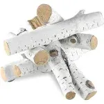 VEVOR Large Withe Birch Logs Gas Fireplace Ceramic Logs for Fire Place 6 Pieces TCXWYM6HM000UI9FFV0