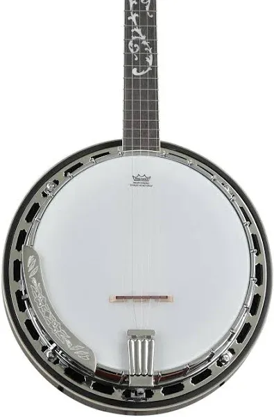 Ibanez B200 Banjo | Reverb